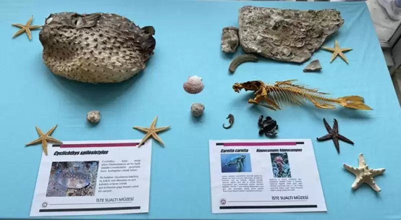 İskenderun'da Su Altı Müzesi Ziyaretçi Kabulüne Başladı