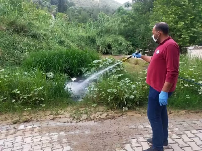 HBB 68 Araçlık Ilaçlama Filosu Tüm şehirde Hizmet Veriyor