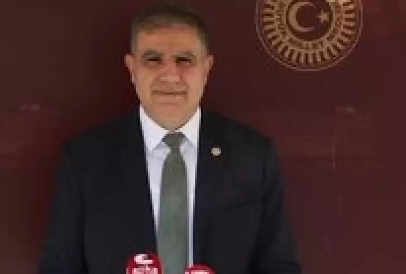 Hatay Insanı Kışın Selle Yazın Haşerelerle Perişan Ediliyor