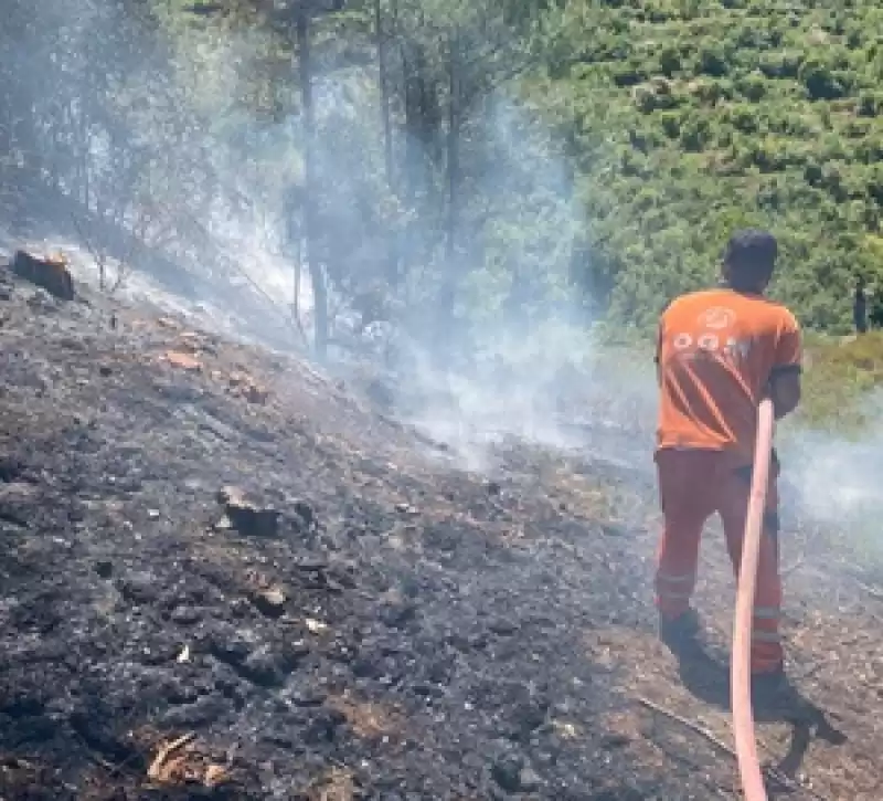 Hatay'da çıkan Anız Yangını Söndürüldü