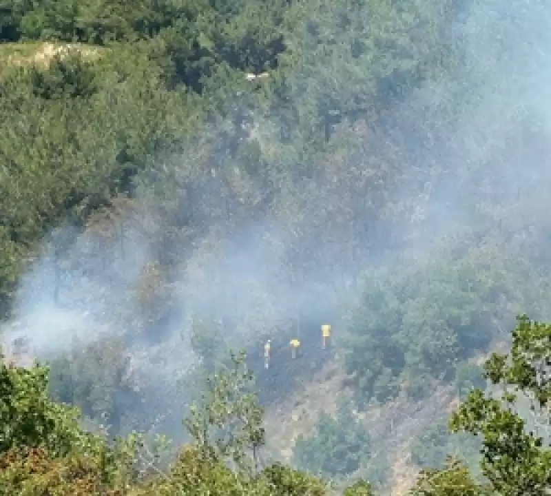 Hatay'da çıkan Anız Yangını Söndürüldü