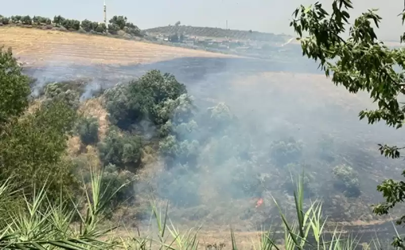 Hatay'da çıkan Anız Yangını Söndürüldü