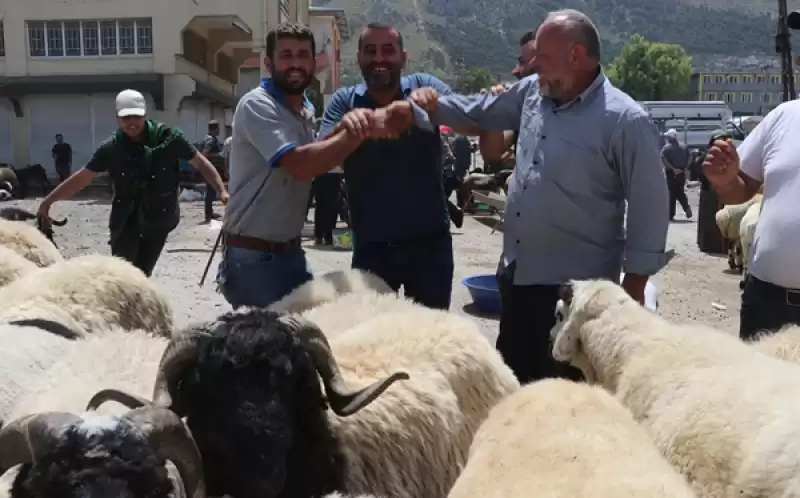 Hatay'da Kurbanlık Pazarlarında Hareketlilik Arttı