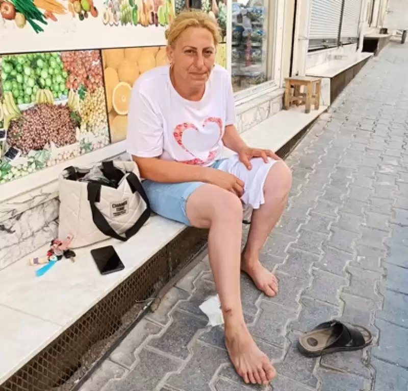 Hatay'da Sahipsiz Köpeğin Saldırdığı Kadın Yaralandı
