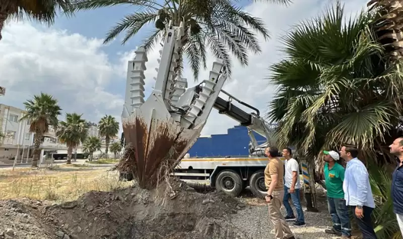 Ağaçları Kesmiyoruz Yaşatıyoruz!