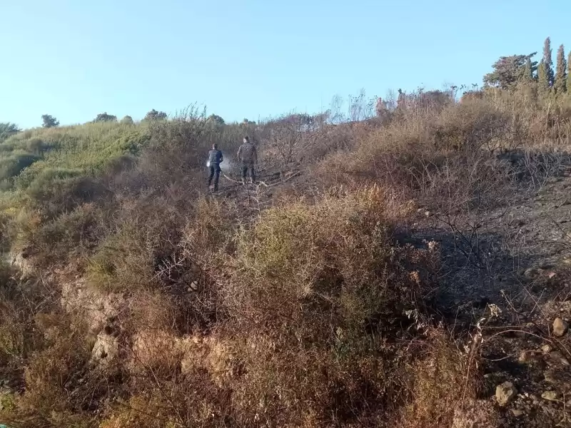 Hatay'da Anız Ve Makilik Alanda çıkan Yangınlar Söndürüldü