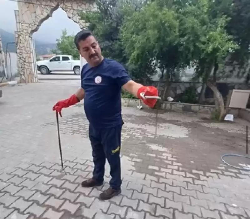 Hatay'da öğrenci Yurduna Giren Yılanı Itfaiye Ekipleri çıkarttı