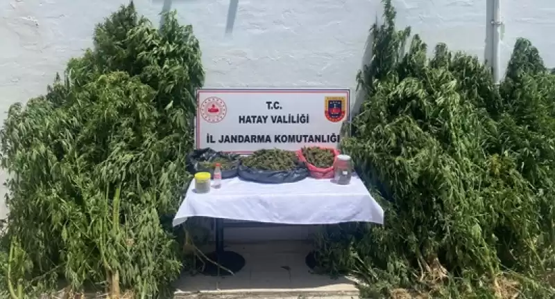 Hatay'da Uyuşturucu Ve Kaçakçılık Operasyonlarında 30 şüpheli Yakalandı