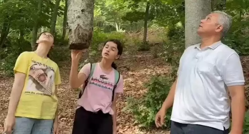 Amanos Dağlarında Köksüz Kayın Ağacı
