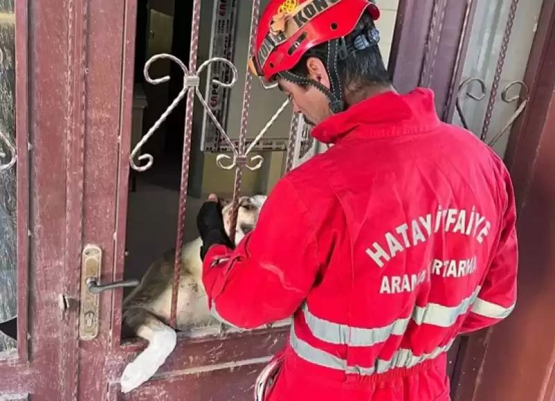 Okulda Mahsur Kalan Köpeği HBB Itfaiye Ekipleri Kurtardı