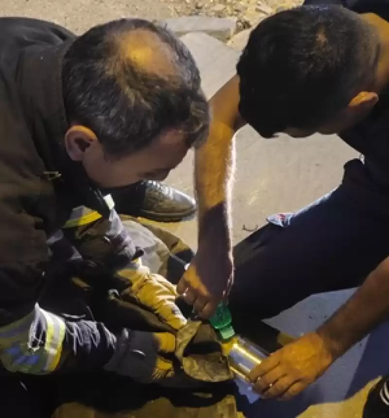 Hatay'da Başı Teneke Kutuya Sıkışan Kedi Kurtarıldı