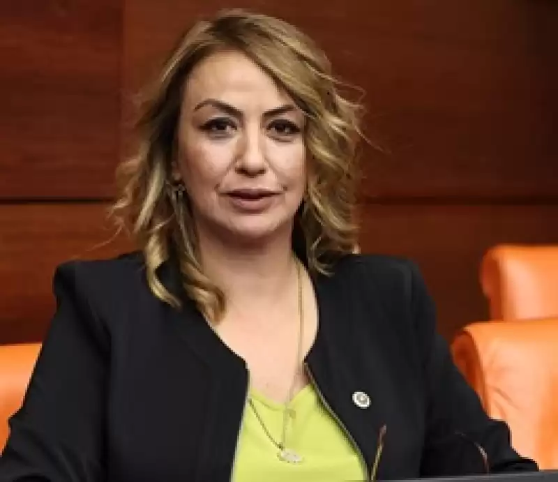 Büyük Göç Dalgası, Bizi Kronik Sorunlarla Baş Başa Bıraktı!