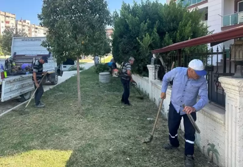 Park Ve Yeşil Alanlar Güzelleştiriliyor