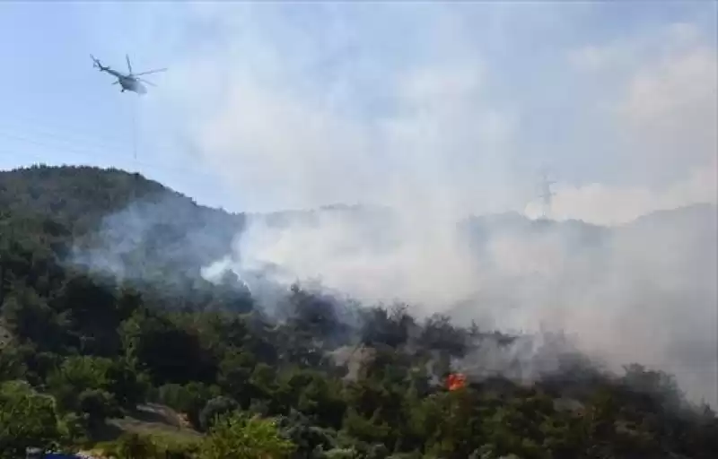 Belen'de çıkan Orman Yangını Kontrol Altına Alındı