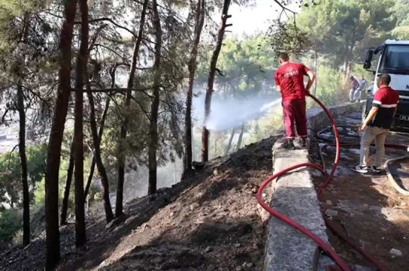 Antakya'da çıkan Orman Yangını Büyümeden Söndürüldü