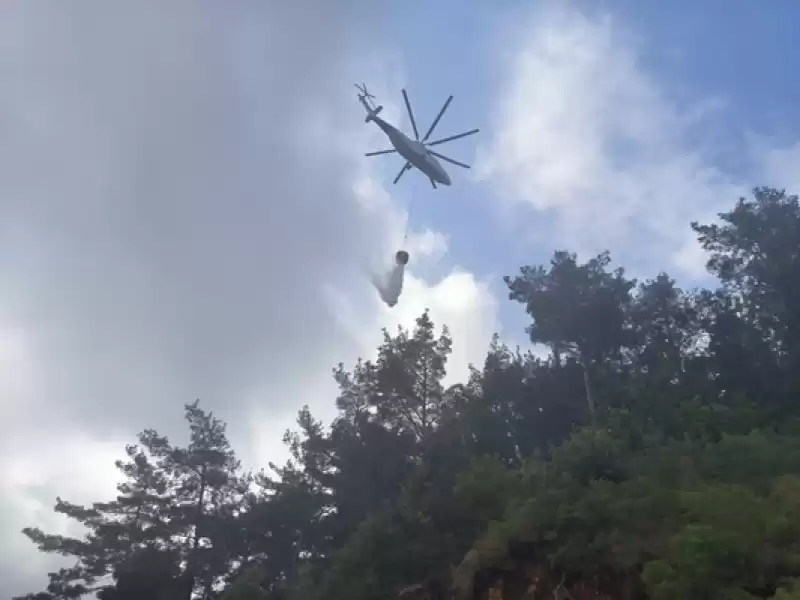 Hatay'da çıkan Orman Yangınına Müdahale Ediliyor