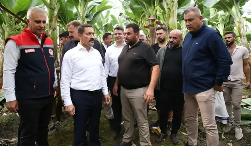 Arsuz'da Yeni Oluşturulan 20 Dekarlık Muz Serası Açıldı