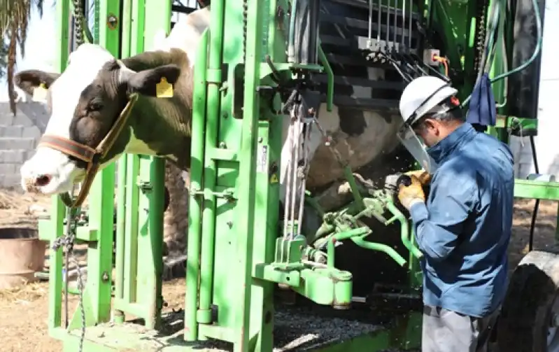 HBB’den ücretsiz Tırnak Bakımıyla Hayvancılığa Destek