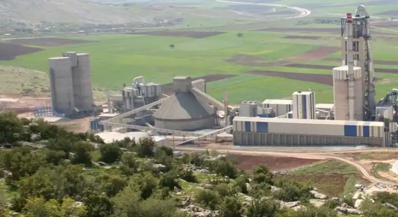 Zeytinlik Arazilerin Korunması İçin Bu Kez Kanun Işledi!