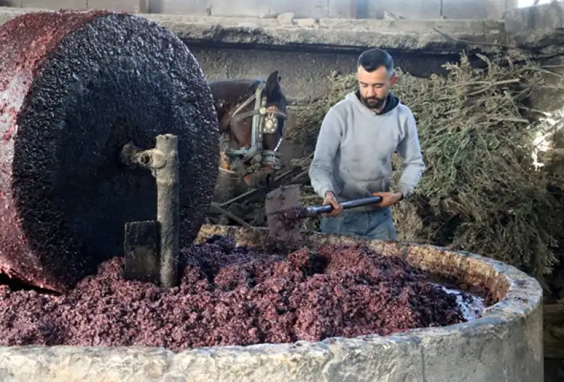 Altınözü’nde Asırlık Gelenek: Su Zeyti