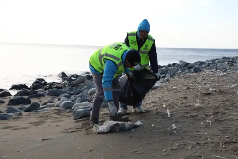 Büyükşehir, Sahillerden 1255 Ton Atık Topladı