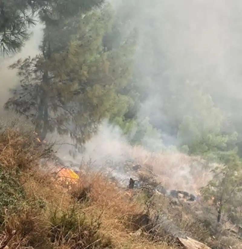 Hatay’ın İskenderun Ilçesinde Ormanlık Alanda çıkan Yangın Söndürüldü