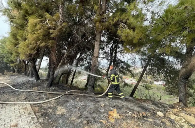  Hatay'ın Defne Ilçesinde çamlıkta çıkan Yangın Söndürüldü