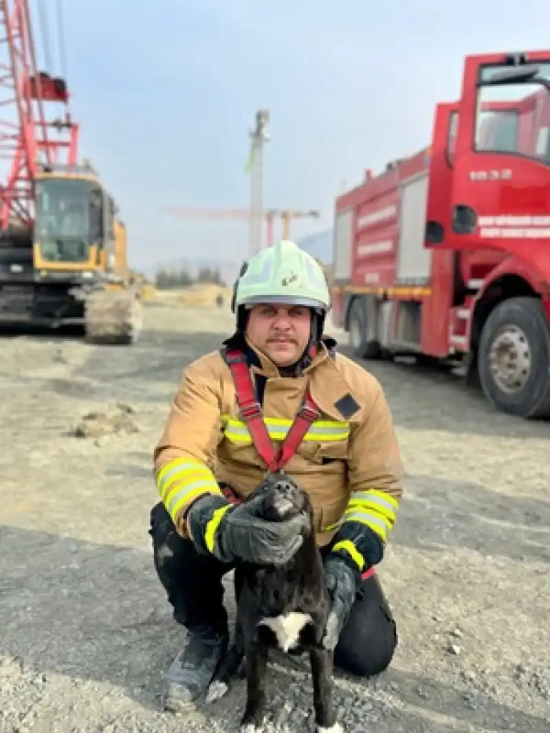 Hatay'da Fore Kazık Temeline Düşen Köpek Yavrusunu Itfaiye Kurtardı