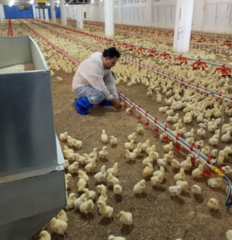 Samandağ İlçe Tarım Ve Orman Müdürlüğü Ekiplerinden Denetim