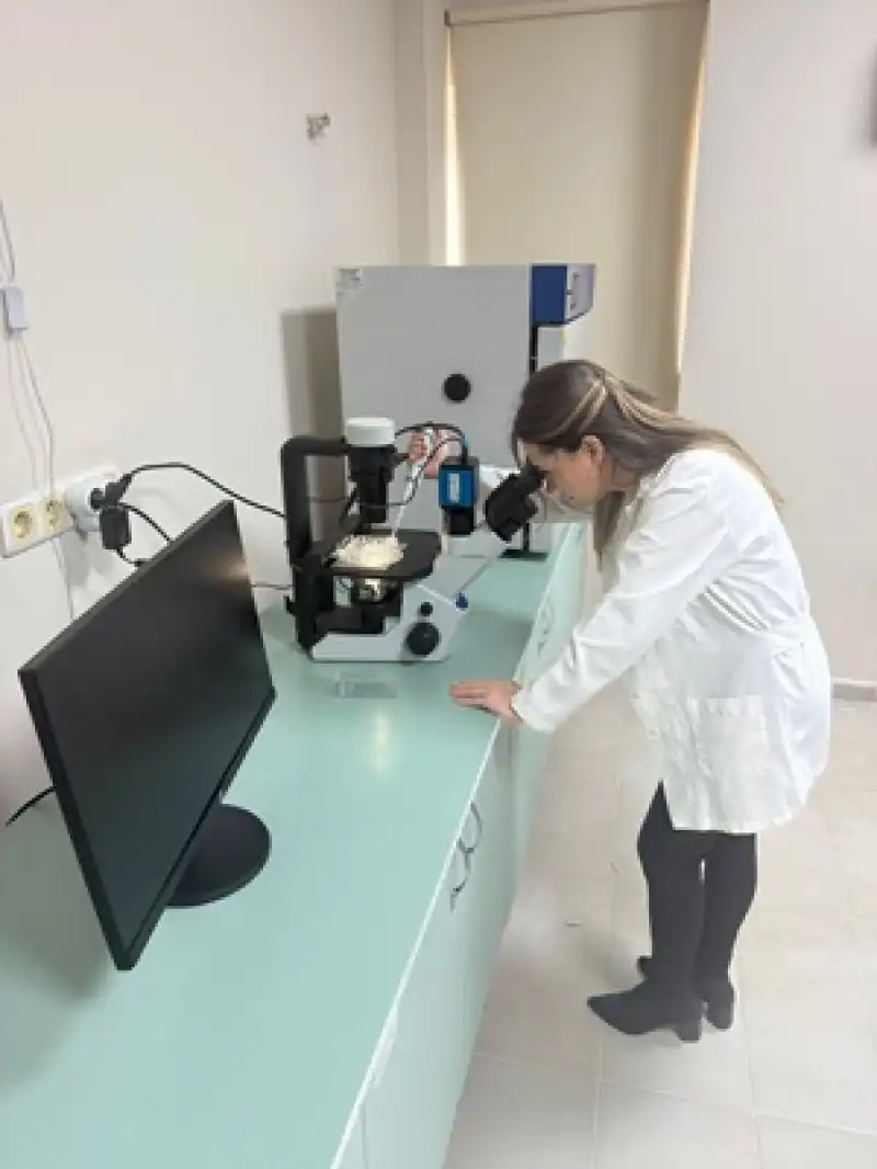 Dr. Öğr. Üyesi Meryem İlkay Karagül: