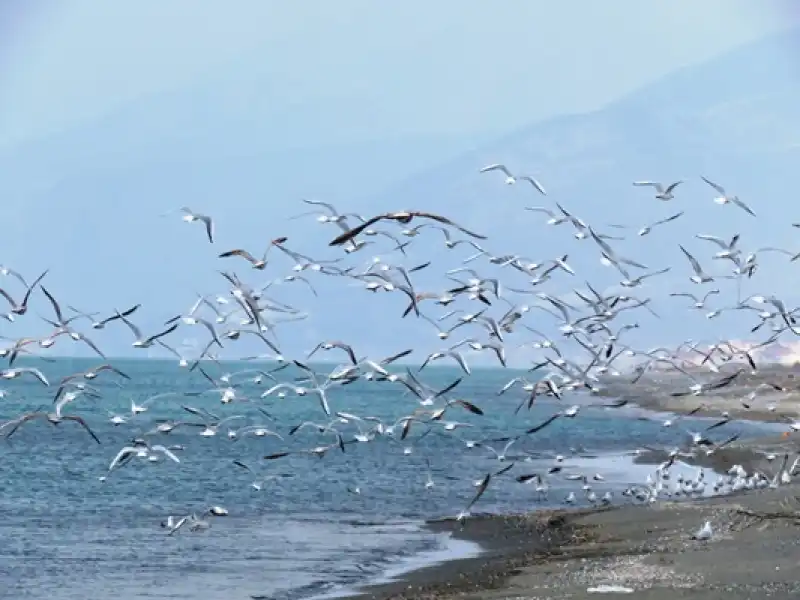 Doğa, İnsan Ve Mutluluk…