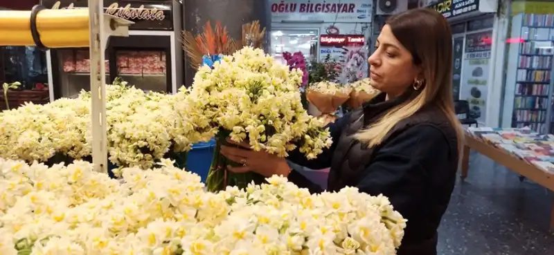 Nergis Çiçeğinin Sezonu Ve Hikâyesi