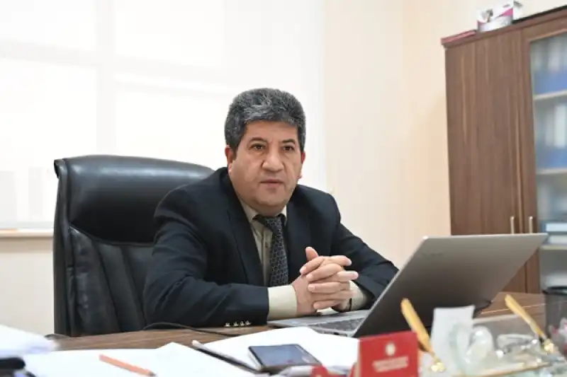 Bal Arıları İçin Sperm Bankası Kuruluyor