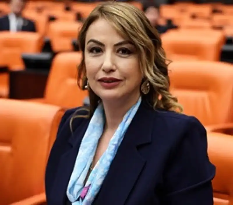 Kara: Ucuz Kömür, Halk Sağlığı İçin Tehlike Saçıyor