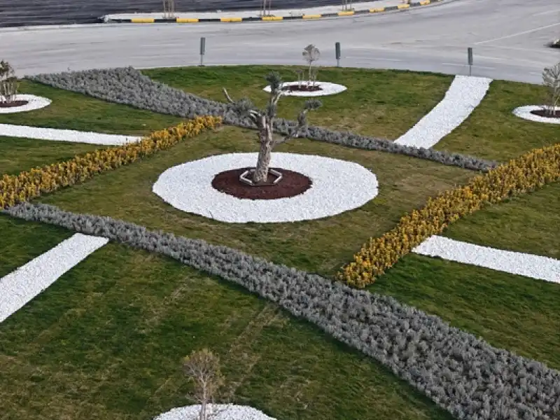 Refüjlere Yeşil Dokunuş HBB, Daha Yeşil Hatay Için çalışıyor