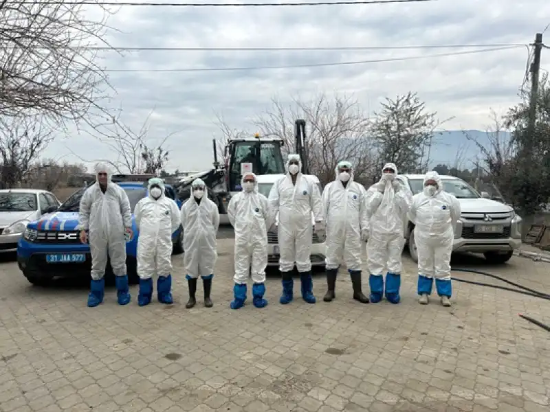 Hatay’ın Paşa Mahallesin ‘de Kuş Gribi Görüldü, Mahalle Karantinaya Alındı