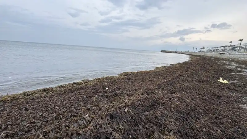 Hatay'ın Bazı Kıyılarında Deniz Suyu çekildi