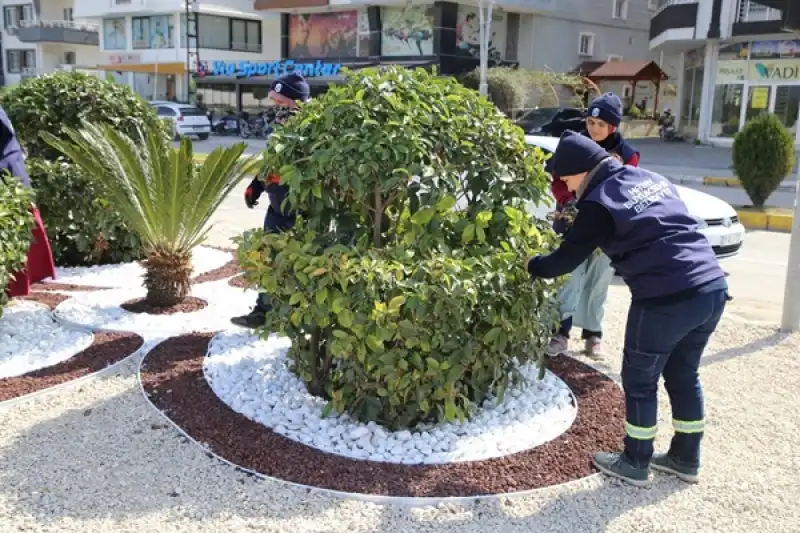 Hatay’a Kadın Eli Değiyor Hatay’ın Yeşil örtüsü Kadınlara Emanet