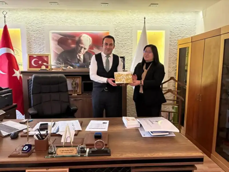 Defne'nin Yeniden Yapılanma Sürecinde Japon Akademisyenlerden İş Birliği 