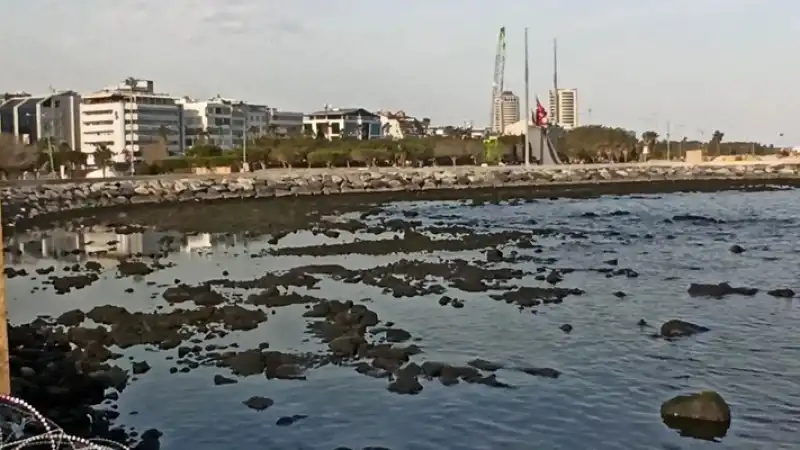 Fırtına Sonrası Denizin Çekilmesinin Depremle Alakası Yok!