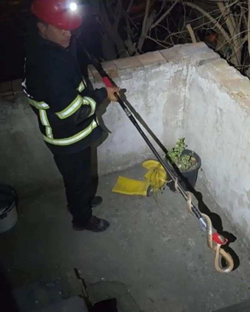 Hatay'da Eve Giren Yılanı Itfaiye Ekipleri çıkarttı