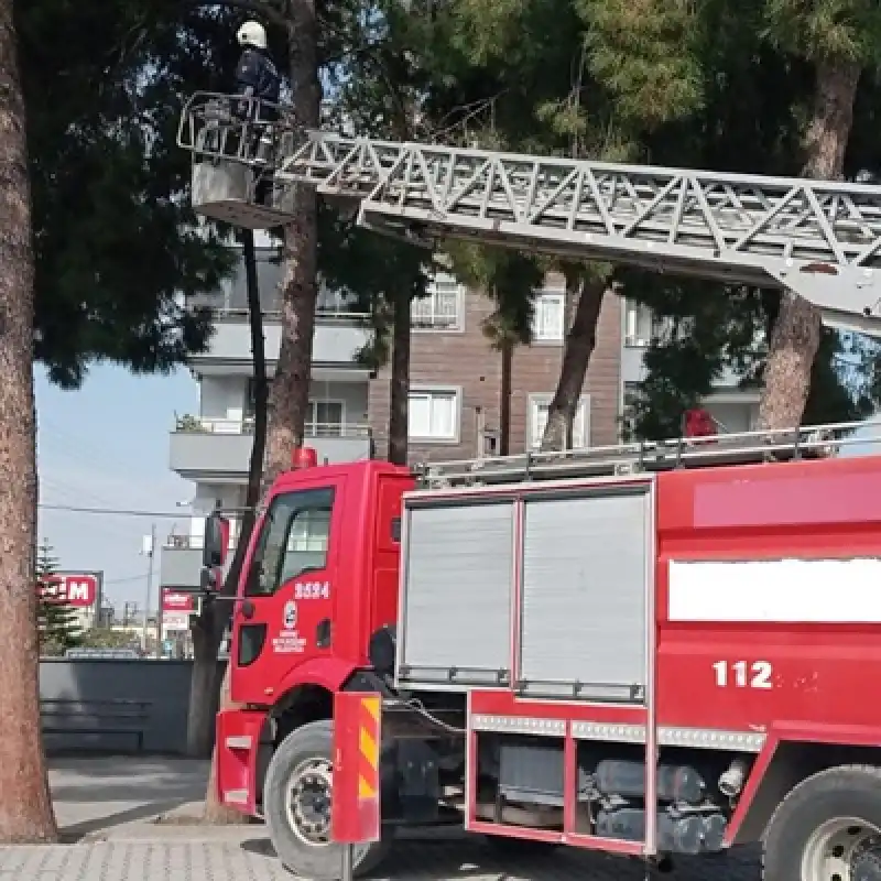Hatay'da Ayağına Ip Dolanan Serçeyi Itfaiye Kurtardı