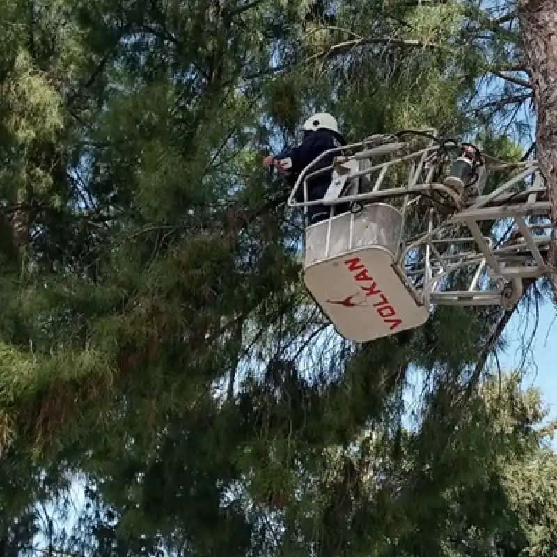 Hatay'da Ayağına Ip Dolanan Serçeyi Itfaiye Kurtardı
