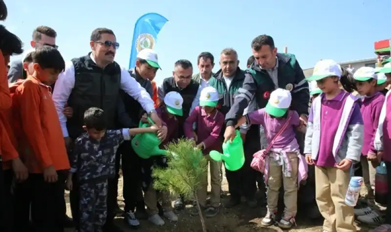Hatay'da 1000 Fıstık çamı Fidanı Toprakla Buluşturuldu