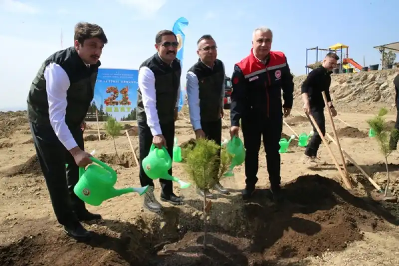 Hatay'da 1000 Fıstık çamı Fidanı Toprakla Buluşturuldu