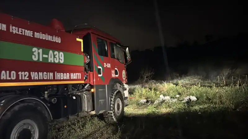 Hatay Arsuz'da Ormanlık Alanda çıkan Yangın Söndürüldü