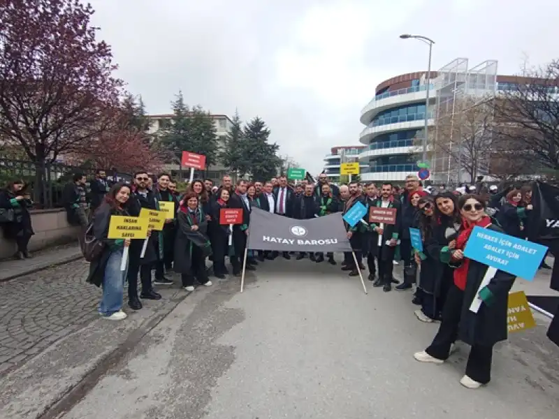 Hatay Barosu,