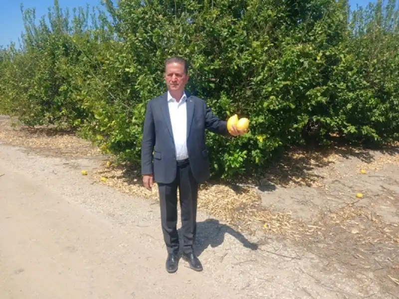 Limon İhracatı Yasağı 15 Mayıs'a Kadar Ertelendi!