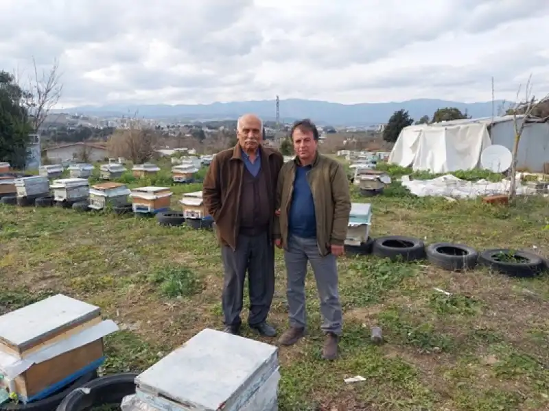 Hatay Arı Yetiştiricileri Birliği'nden Üreticilere 'Ana Arı' Desteği 