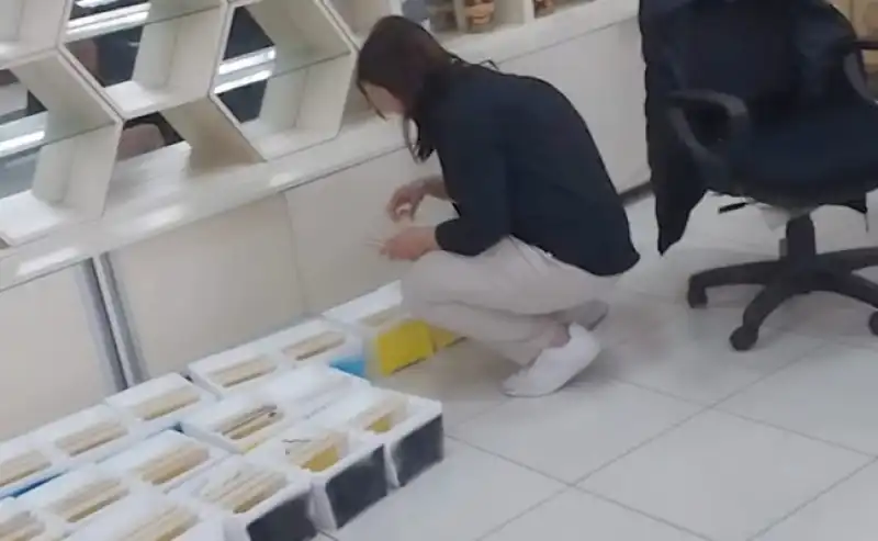 Hatay Arı Yetiştiricileri Birliği'nden Üreticilere 'Ana Arı' Desteği 